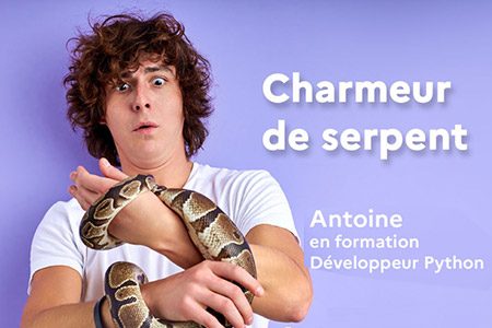 actualite_encart_python