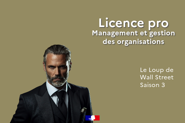 page_formation_Licence_professionnelle_management_gestion_organisations_continue_1_an-3