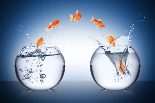 visuels_articles_reconversion_pro2